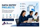 Companies outsourcing data entry Projects