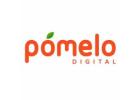 Brand Strategy Agency in Gurugram | Pomelo Digital