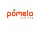Social Media Marketing Agency in Gurugram | Pomelo Digital