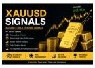 Best XAUUSD Signals Provider for Gold Traders 