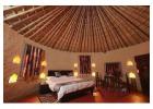Luxury Resorts In Sariska Offering Premium Wildlife And Nature Stay