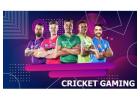Diamond Exchange Sports Information and Cricket Updates Platform 