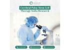 Cerebral Palsy Stem Cell Therapy India Research