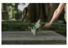 Premium Sympathy Flowers Melbourne by Living Flowers
