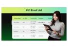 Are You Searching for Verified CIO Email Contacts?