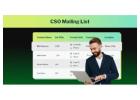 Are You Looking to Reach Chief Strategy Officers?