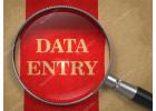 Earn from Home: Form Typing Project | 7708244092