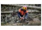 Tree Felling Bella Vista - Sydney Tree Felling