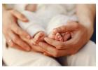 IVF Fertility Doctor in Egmore for Advanced Care | Arcivf.com