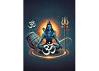 Best Astrologer in Phagwara