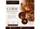 Curse Removal in Florida