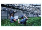 ERP Software for Growers of Any Size
