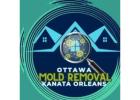 Complete Mold Remediation Services in Ottawa, Orleans & Kanata