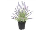 Vibrant and Lasting Artificial Plants and Flowers