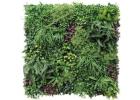 Artificial Grass Wall That Brings Greenery to Any Space 