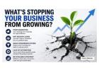 What's Stopping Your Business from Growing?