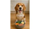 Get Dog Food Delivery near Me at thetailskitchen.com Today