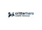 Critter Hero Wildlife Removal St. Catharines