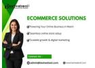 eCommerce Solutions Company in Miami – Grow Your Online Business