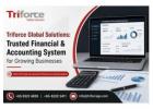 Triforce Global Solutions: Trusted Financial and Accounting System 