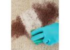 Professional Carpet Blood Stain Removal in Melbourne