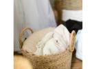 Fresh, Clean & Hassle-Free Laundry Service Near You