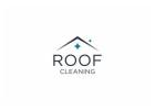 Moss Removal Roof George