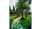 Landscape Architecture Sandy