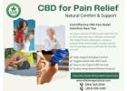 Premium CBD Pain Relief Cream for Everyday Comfort