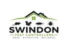 Dial Our Swindon Pest Control to Address All Pest Issues