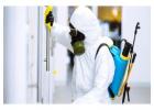 Take Up Local Pest Control Swindon from Us