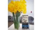 Our Chiro Brisbane