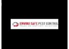 Rat removal Melbourne