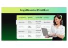 Find Verified Angel Investors Email List Today