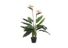 Premium Artificial Plants Melbourne for Every Space 