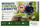 Mosquito Control Lafayette: Stop Breeding Sites Fast