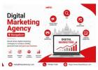 Is Your Business Ready to Scale? Find a Digital Marketing Agency in Bangalore 