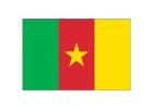 Cameroon Country Flag: A Proud Symbol of National Identity