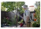 Best Pest Control in Calgary for Homes & Commercial Spaces