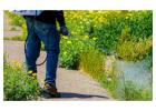Best Pest Control in Calgary for Homes & Commercial Spaces