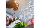 Food Technology Consultancy for Product Development and Scale Up