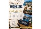Businesses for Sale in Costa del Sol