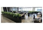 Add Depth From Above With an Artificial Hanging Garden 
