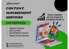 Grow Your Online Presence With Content Management Services Florida