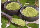 Moringa Powder Suppliers in Gujarat