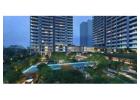 Apartments In Punjabi Bagh  | TARC