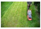 Stop Weeds Fast With Expert Weed Control in Red Deer