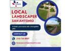 Local Landscapers 