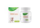 Joint Pain Tablets Ayurvedic – Natural Relief for Joint Health & Mobility