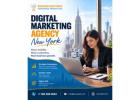 Grow Your Business with Digital Marketing Agency